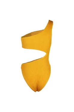 SAME Celine Cut Out One Piece- Under $100