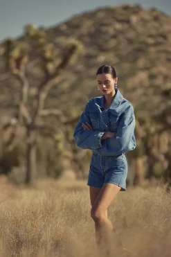 SAME The Perfect Denim Shorts- Denim
